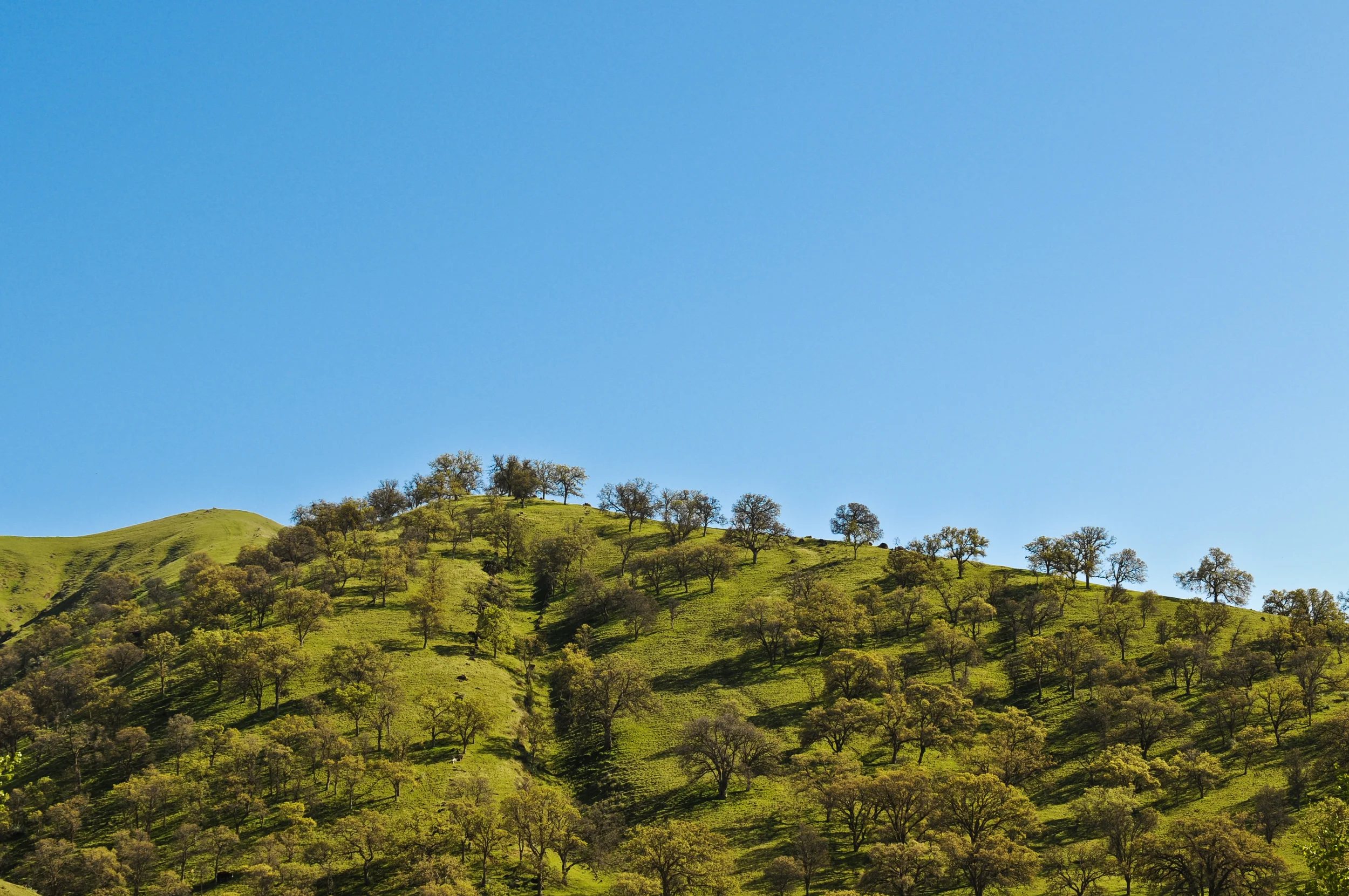lightroom3-export-7113.jpg