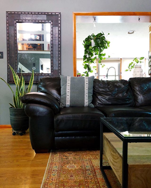 I realized we’ve barely shown any pics of our new house (without wheels) 😀 since we bought it 8 months ago.. so here’s a random iPhone pic of our living room 😃 .
.
#kermitandtrinity #home #homesweethome #peahouse #moderncabin #westelm #bohodecor #jungalow #jungalowstyle #snakeplant #plantmom #plantlove #homeiswheretheplantsare