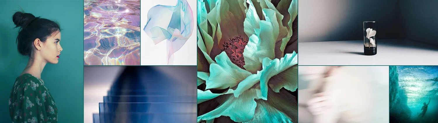 Credit to those that have inspired us (clockwise from left to right): Color Collective, Madewell on Pinterest, Yuki Fujisawa, Georgia O'Keeffe, Janneke Luursema, Jeremiah Klein, Franz Gruenewald and Nobuhiro Nakanishi