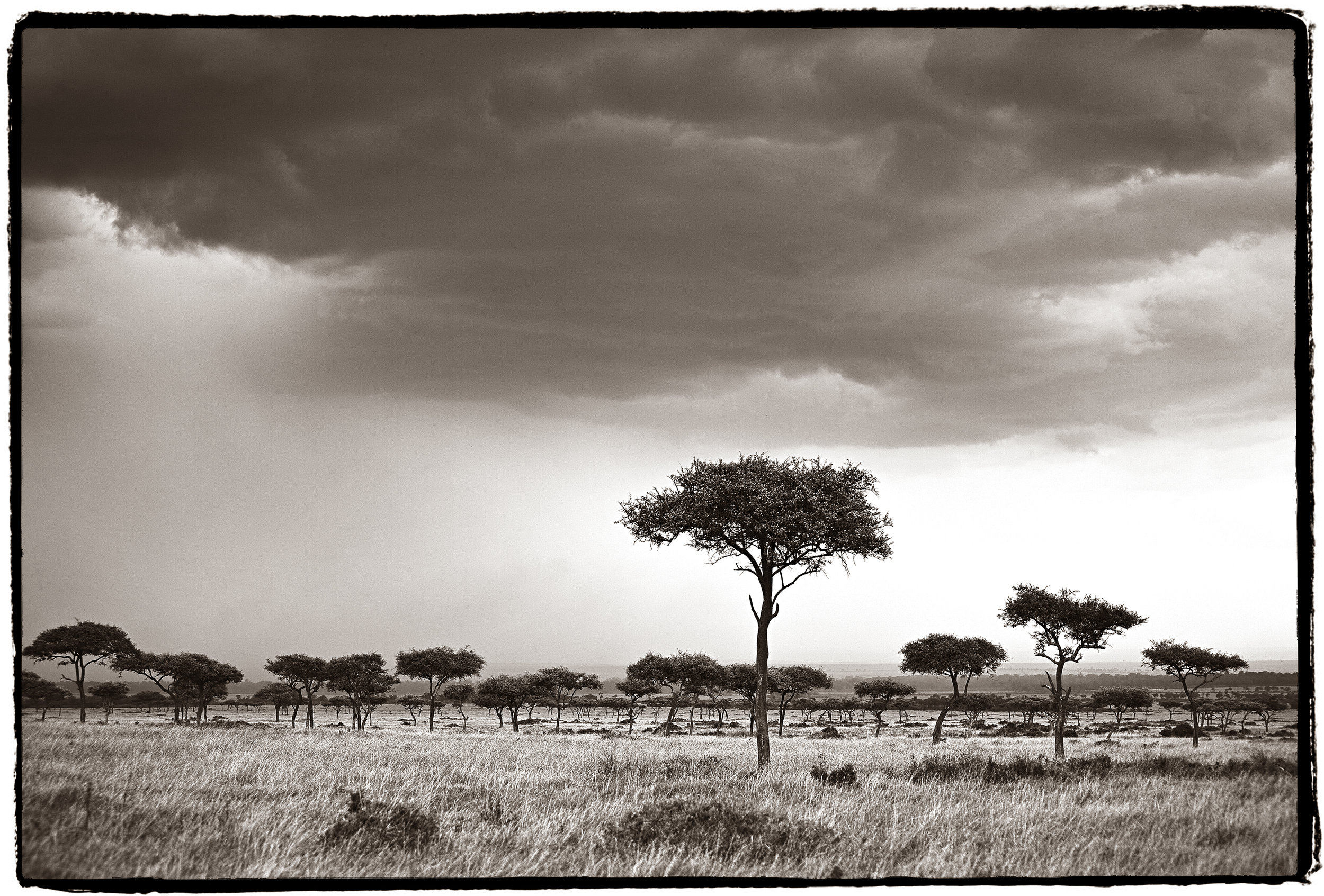 Rainstorm in Masai Mara