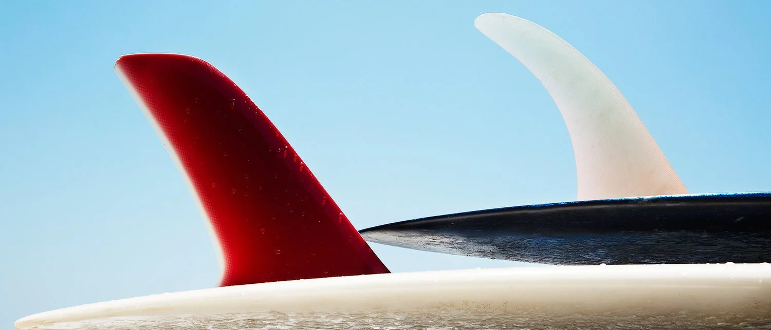 _T9B8181_Surf+Fins_web+ready.jpg