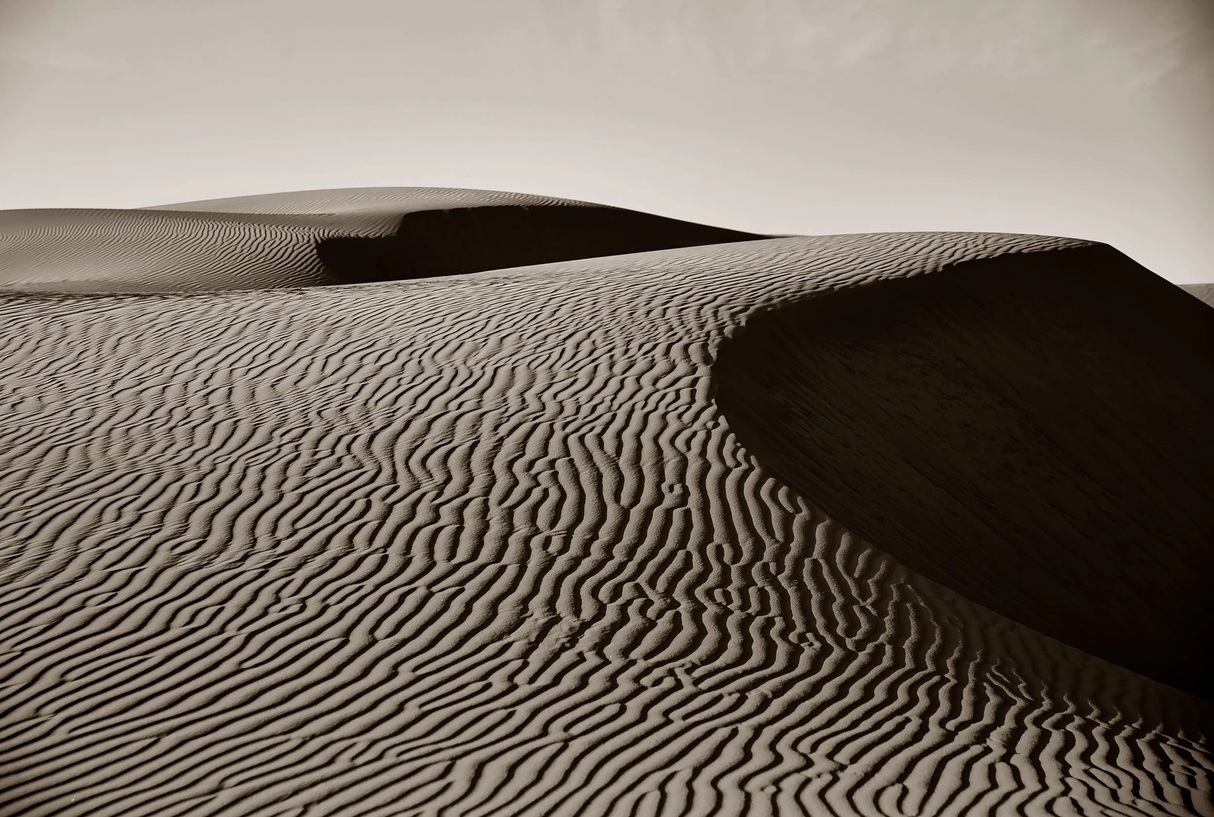 dune_landscape_fltd.jpg
