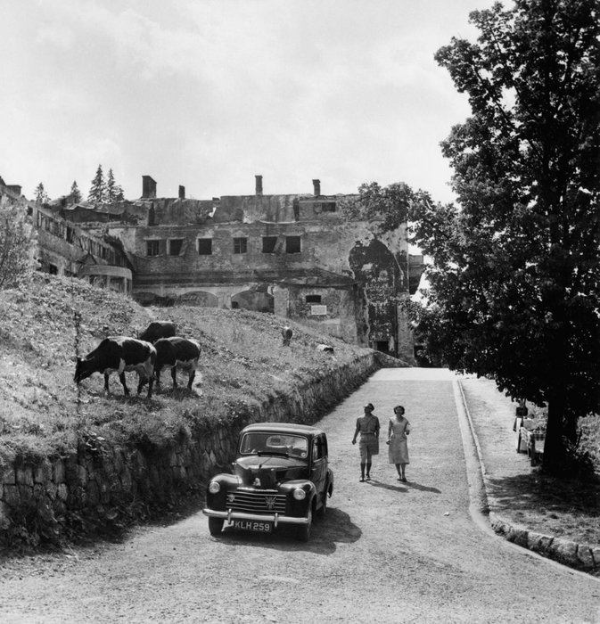 1951.jpg