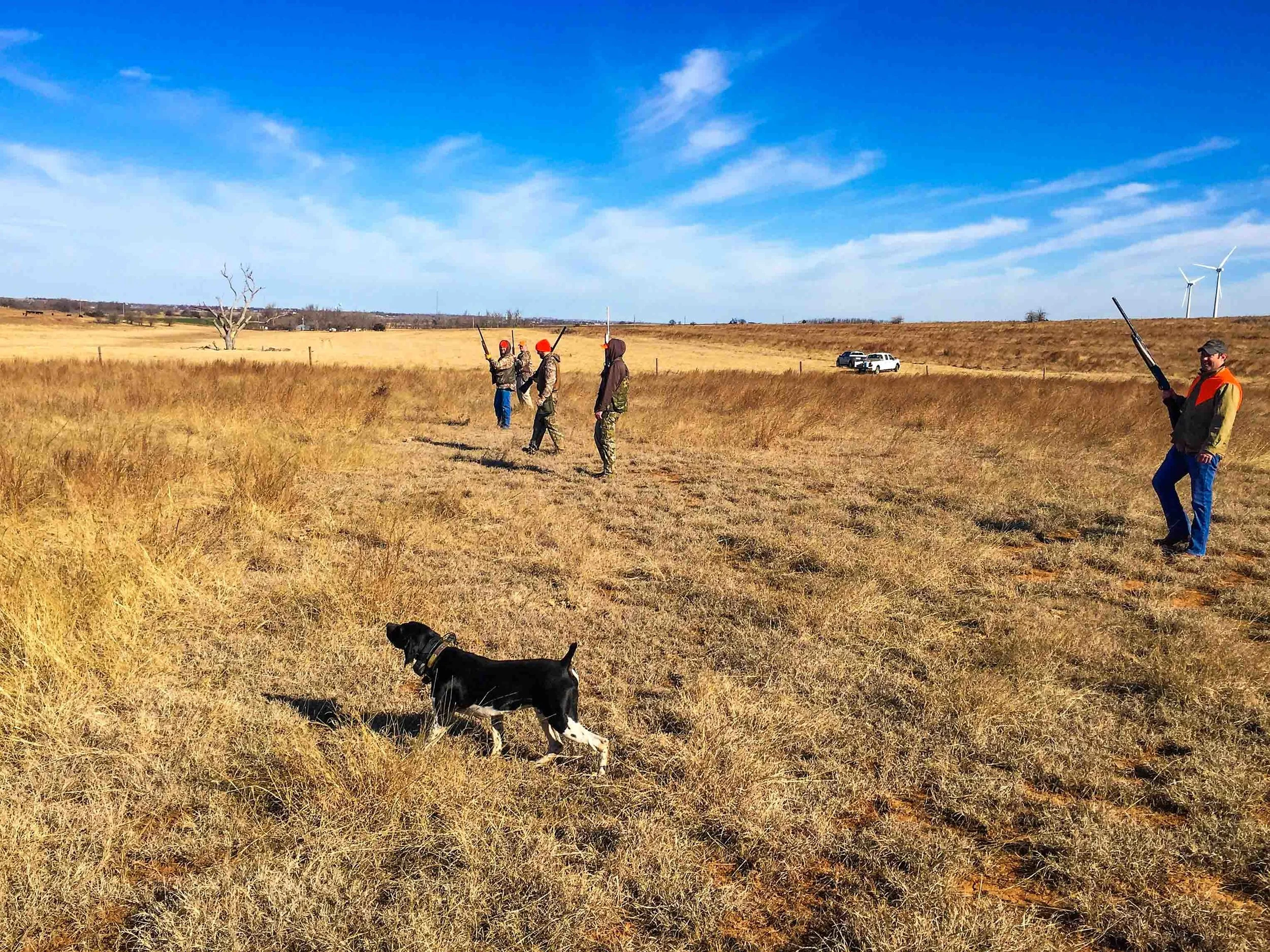 Western Wings Upland Hunts-35.jpg