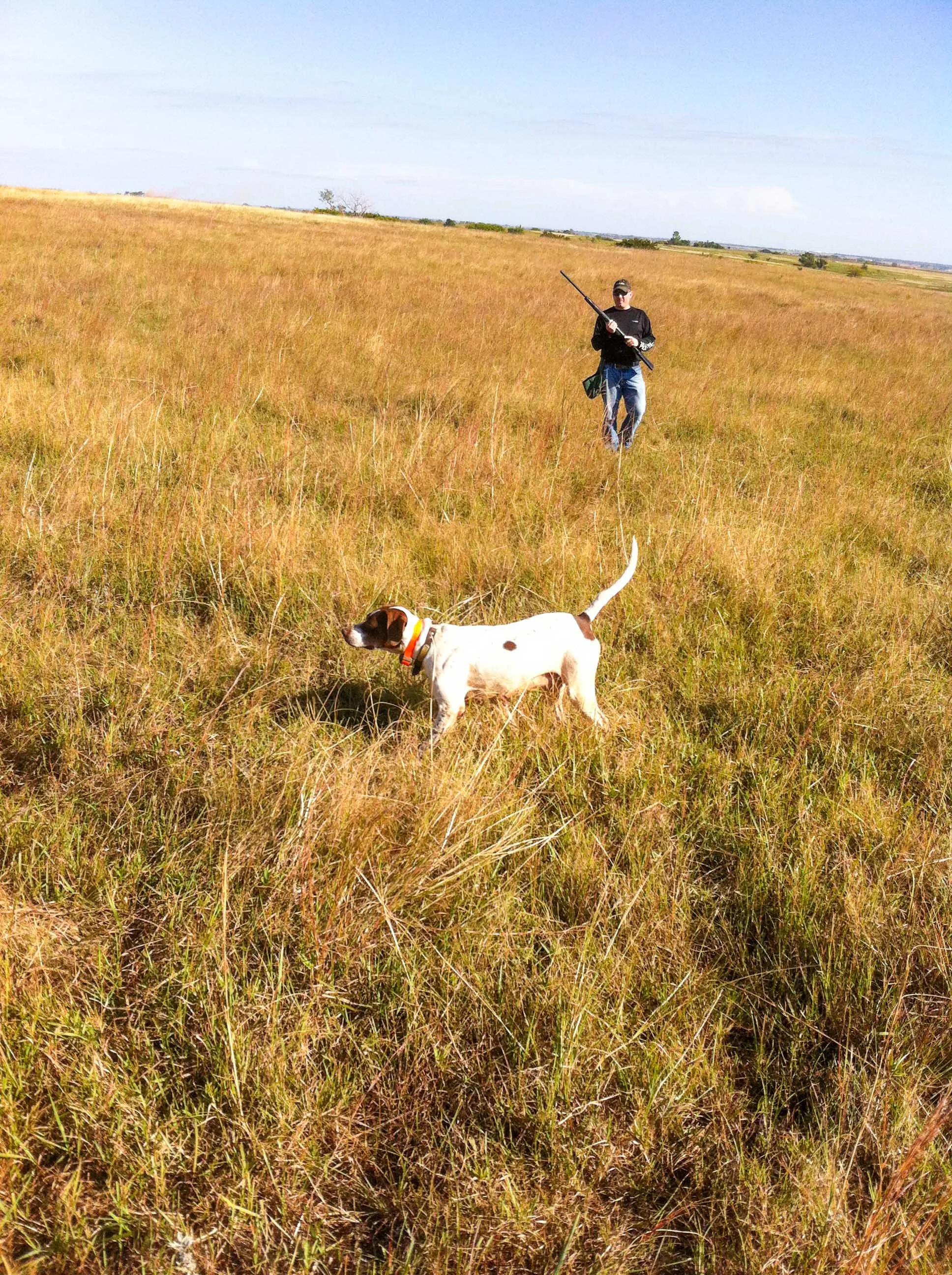 Western Wings Upland Hunts-14.jpg