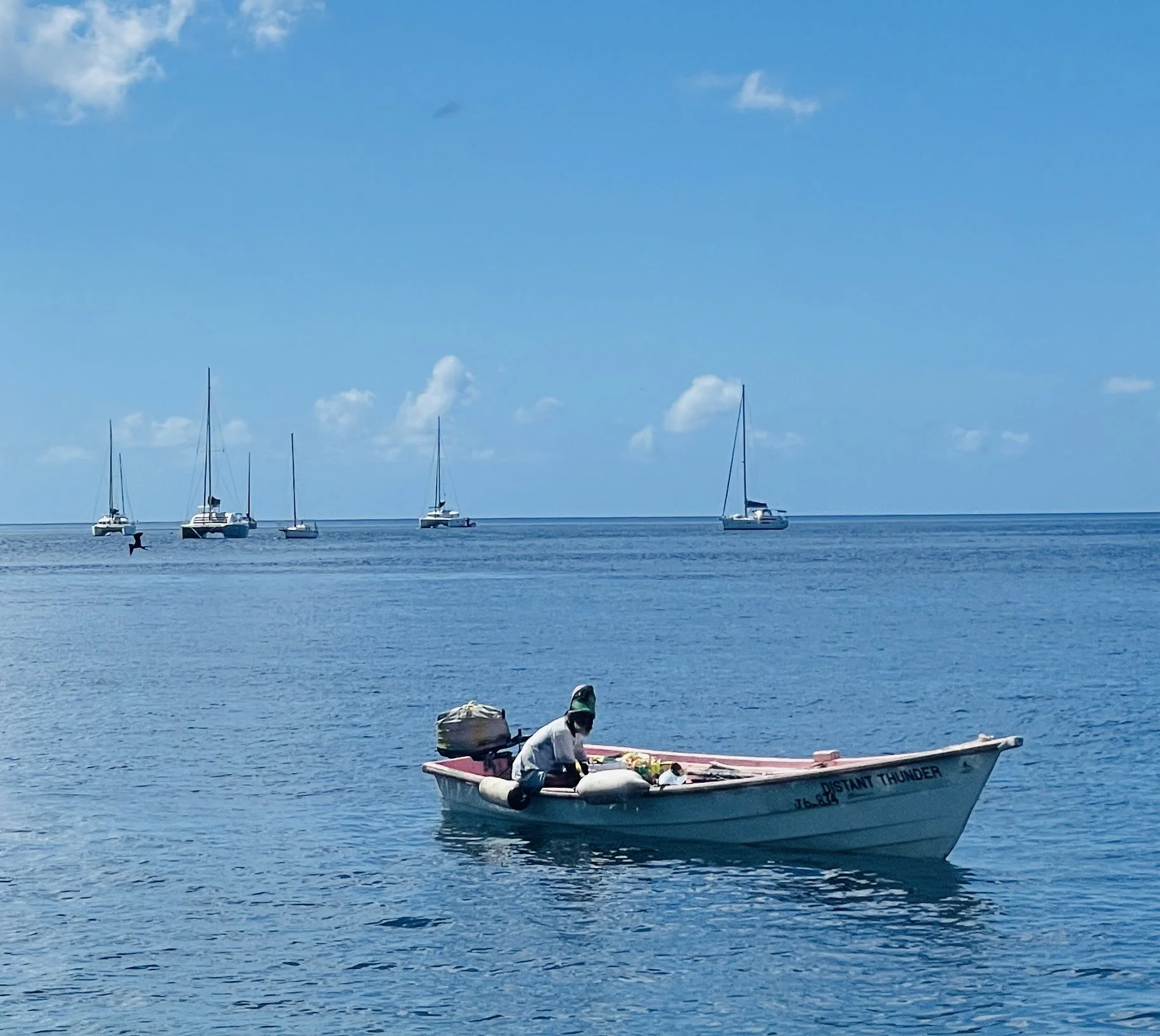 IMG_6476 2.jpg