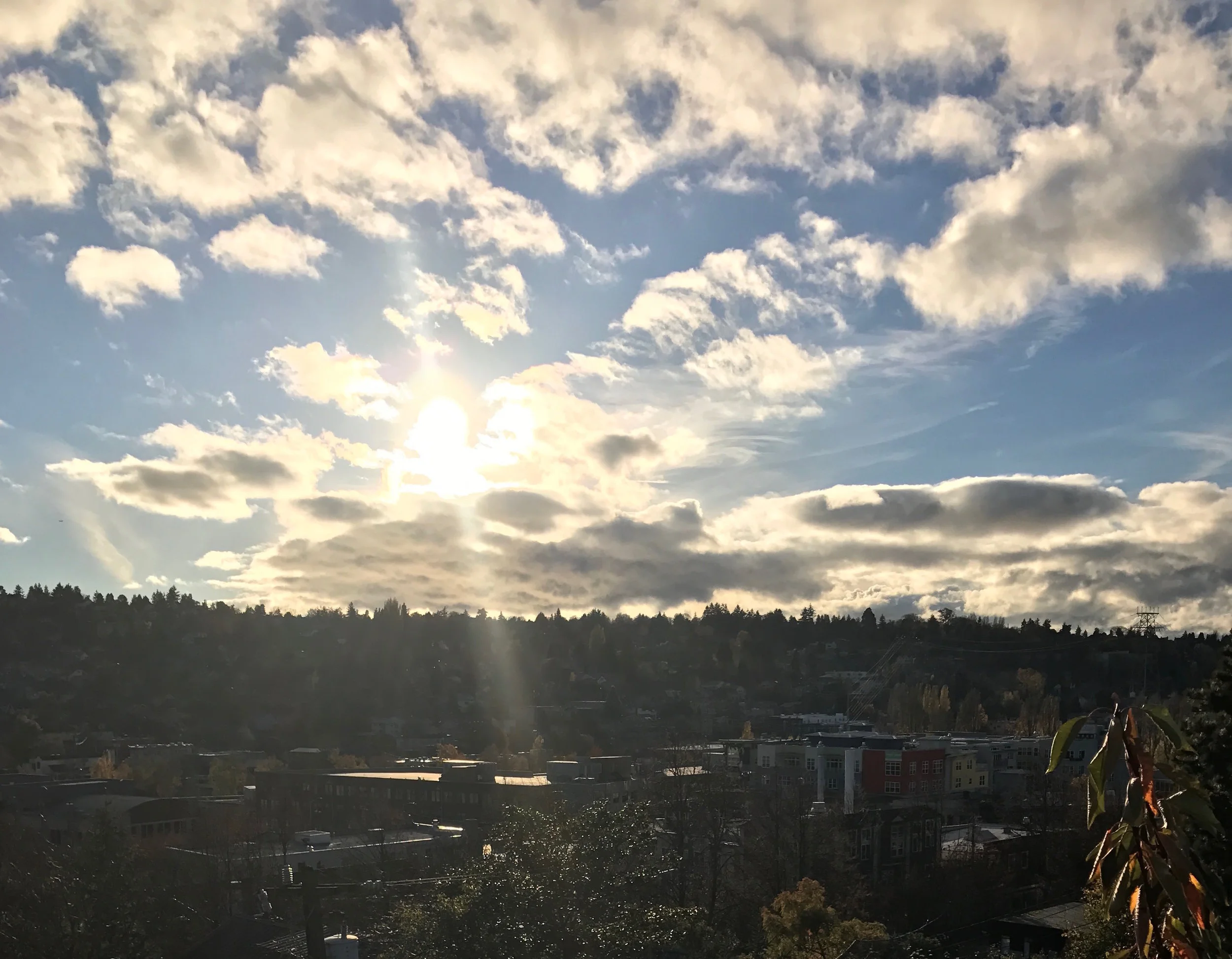 Partly Sunny Vs Partly Cloudy The Denverette