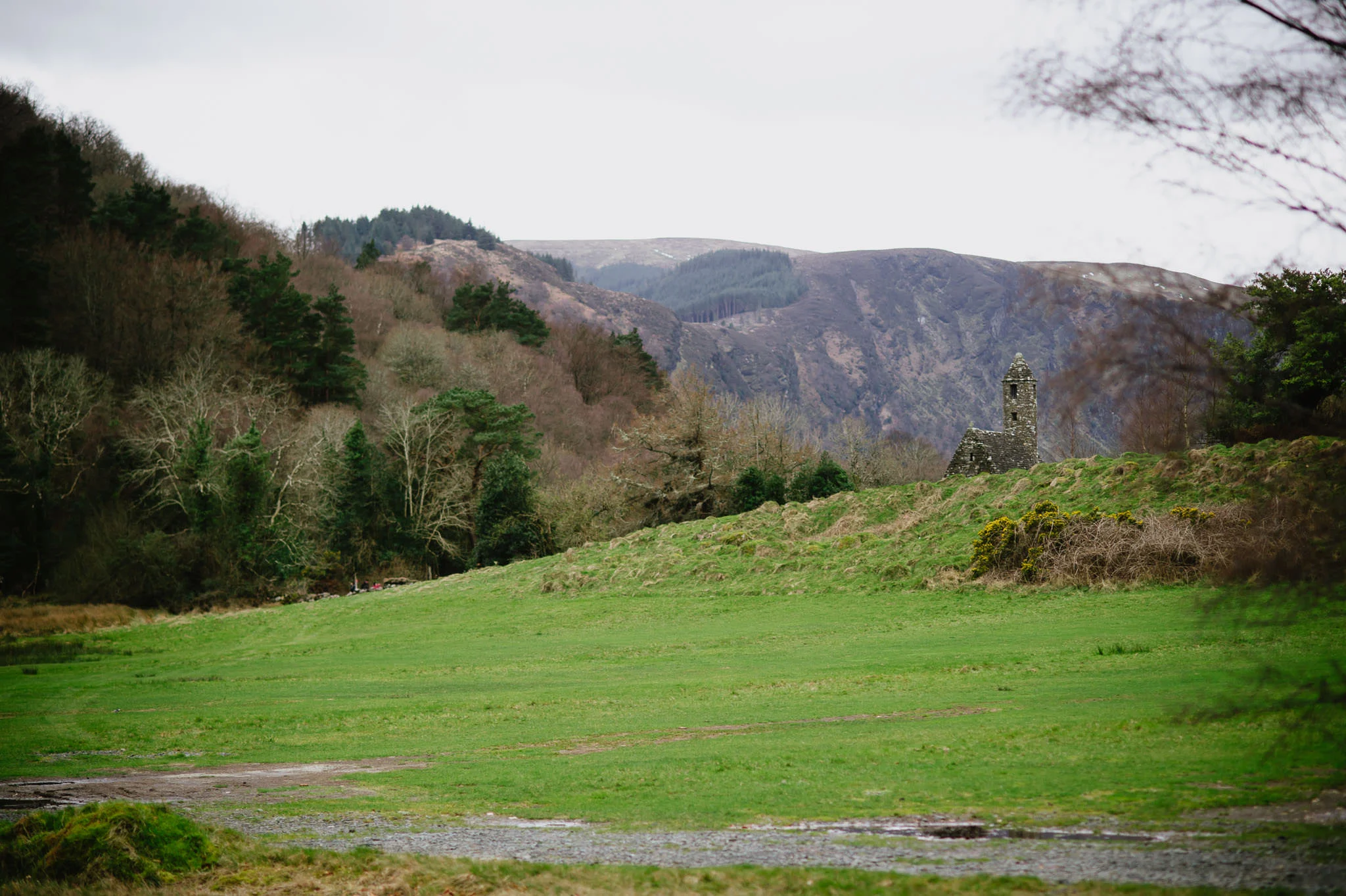 casssandra&shaunglendaloughweb-3.jpg
