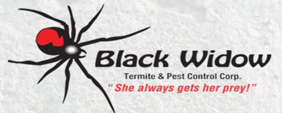 Black-Widow-Termite-and-Pest-Control-in-Manhattan-New-York.png