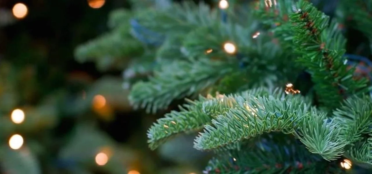 fill-ugly-bare-spots-your-christmas-tree.1280x600.jpg