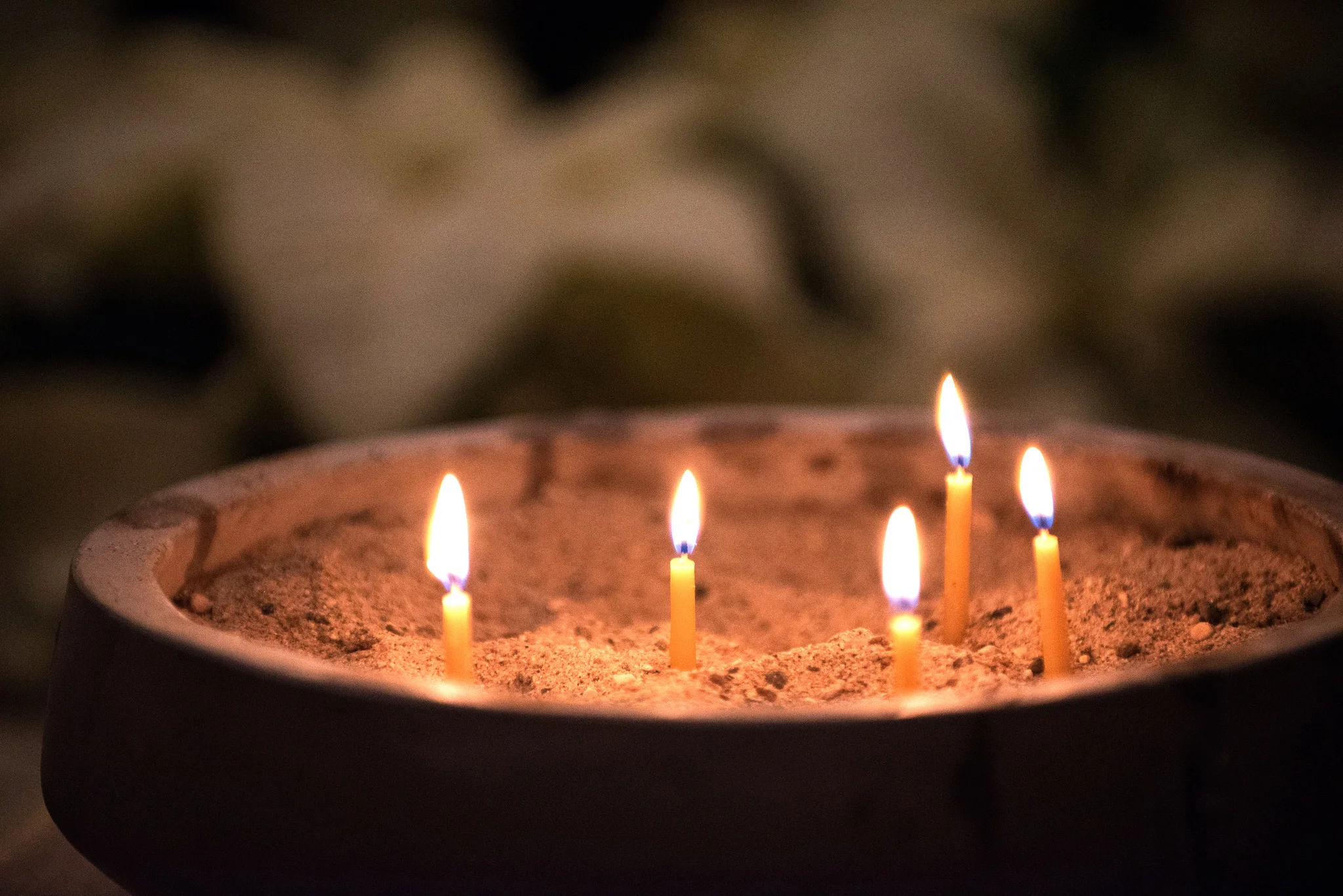 Lenten Day of Mercy