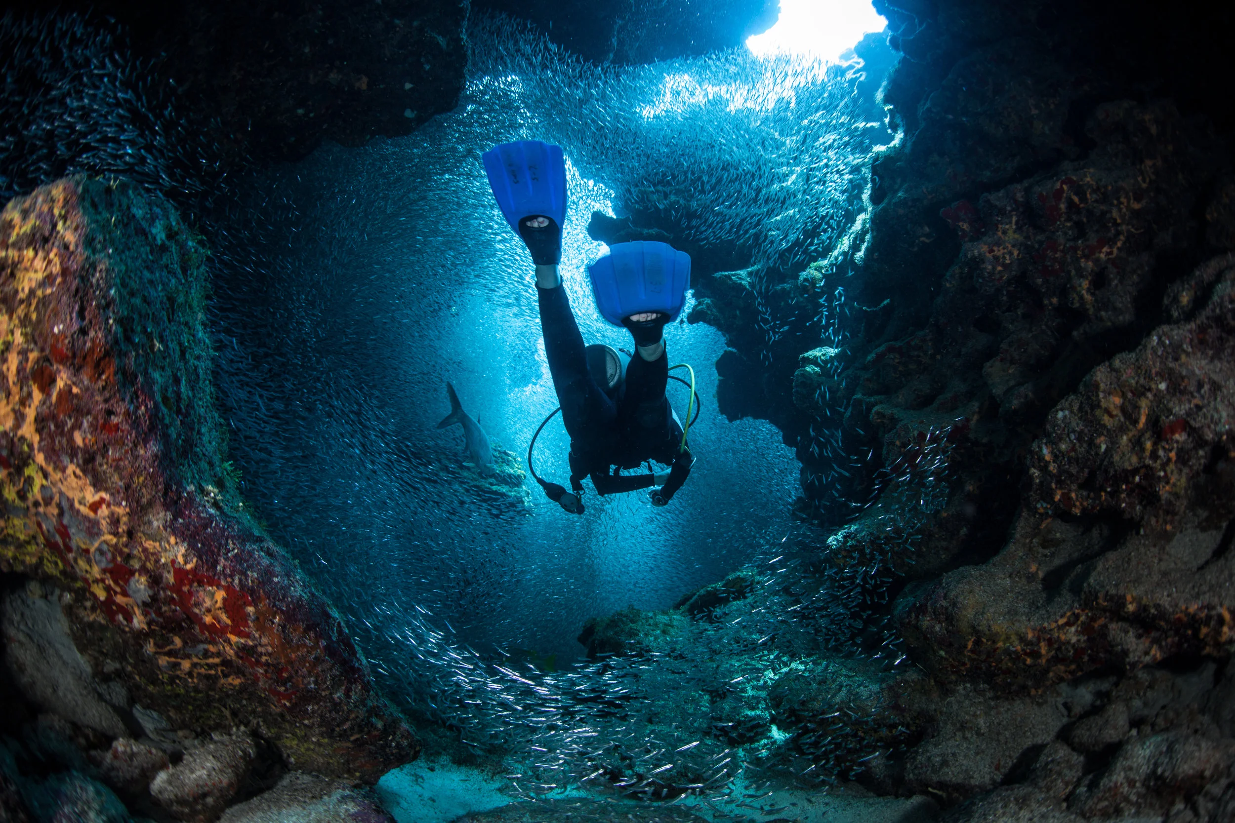 Lessons for Life: Diver Drowns with Full Tank of Air