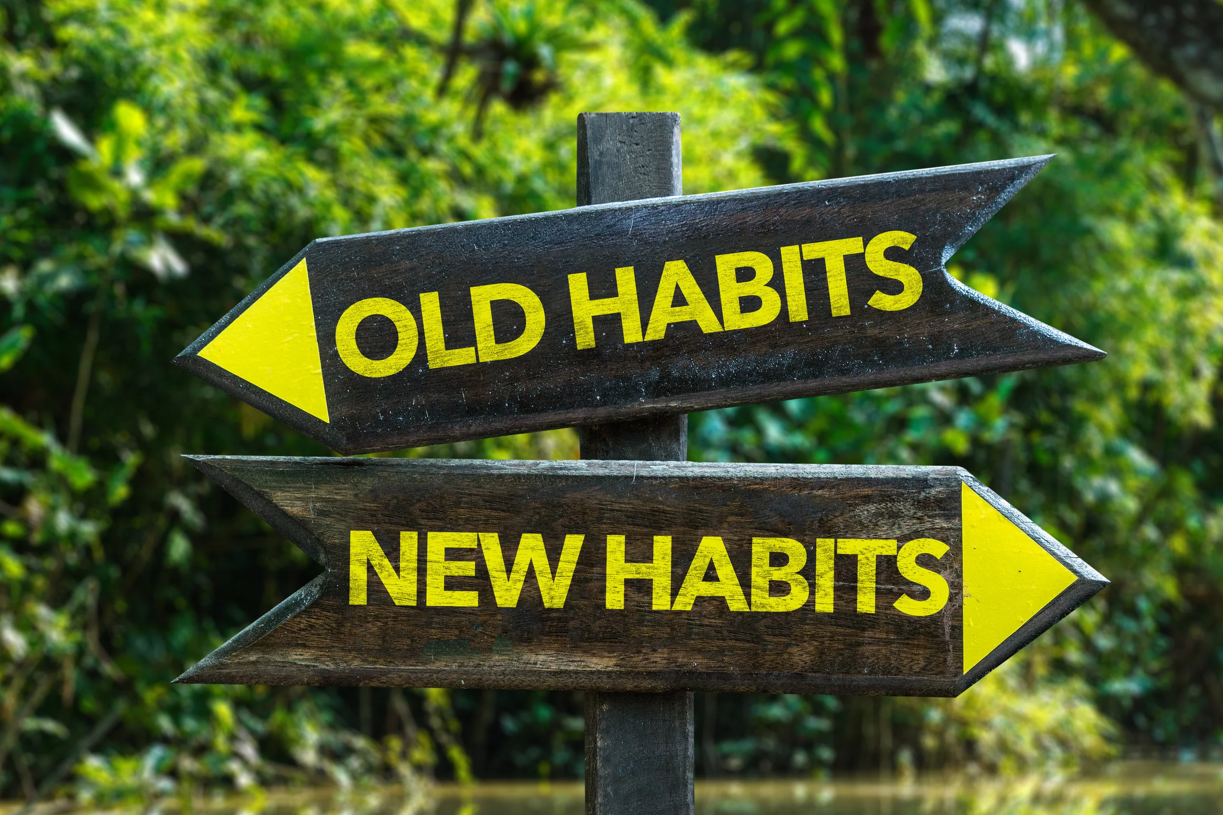 How Habits Work