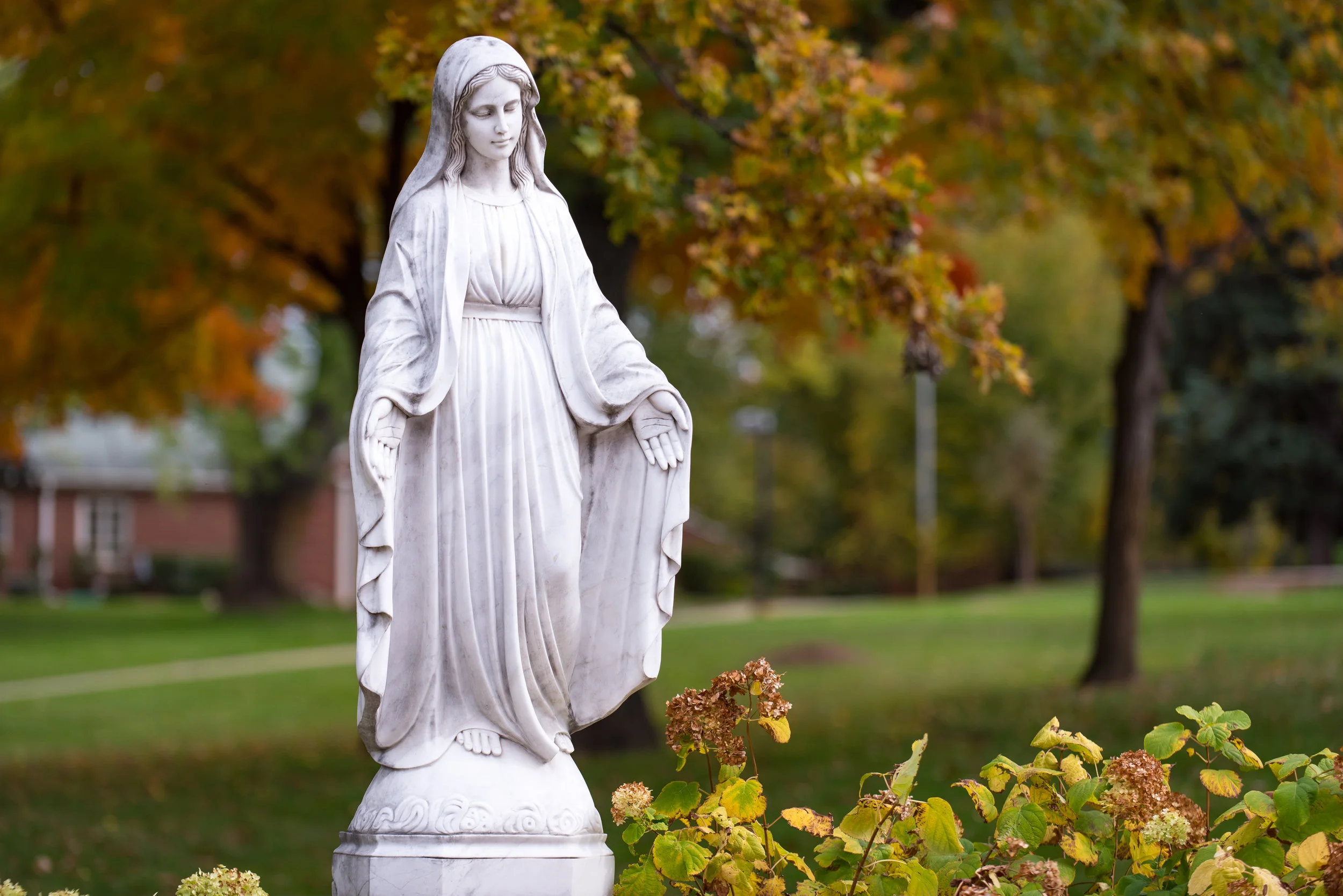30071675340_ff3d9ba280_o_no rosary.jpg