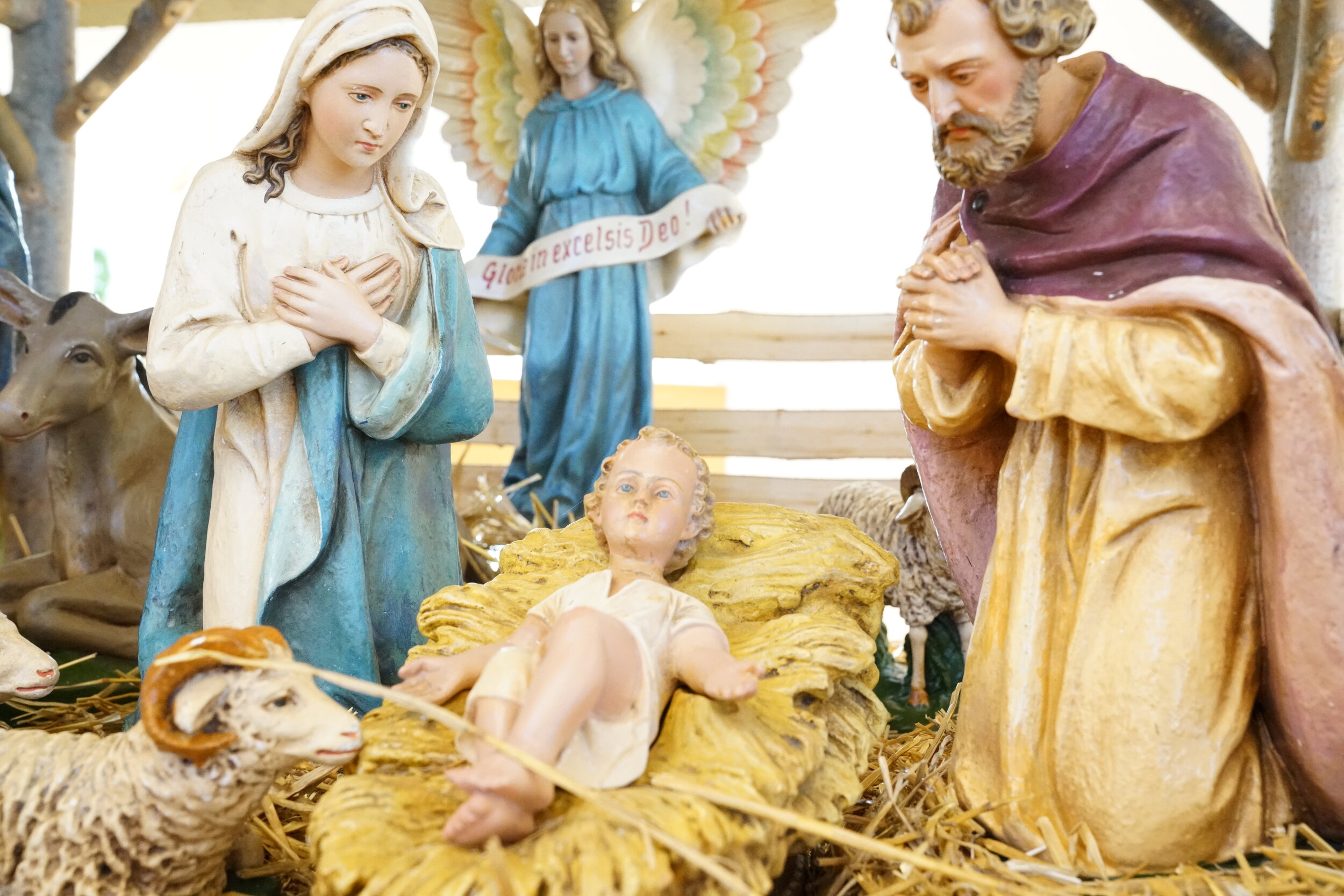 catholic christmas season 2020 Advent And Christmas 2019 2020 Our Lady Of Grace Catholic Church catholic christmas season 2020