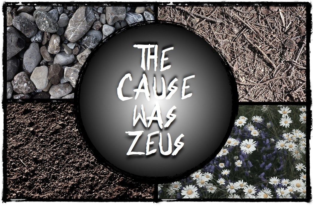 THE CAUSE WAS ZEUS PR Image.png