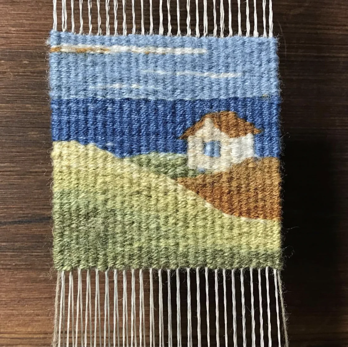Tiny Tapestry by Sarah C. Swett