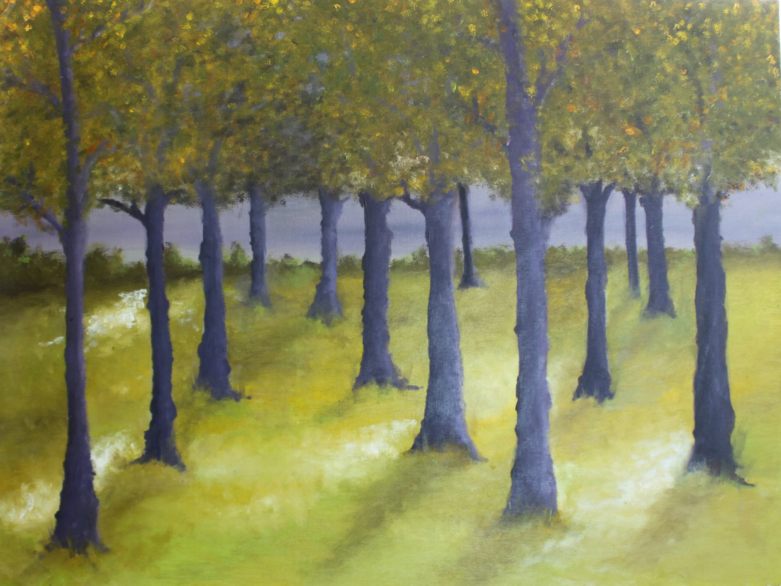 Canopy