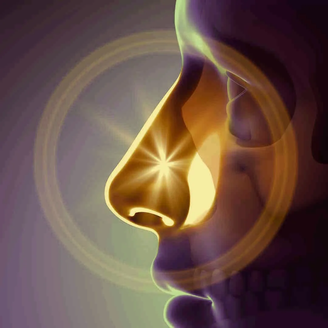 Rhinoplasty_sinuses_nasalblockage.jpg