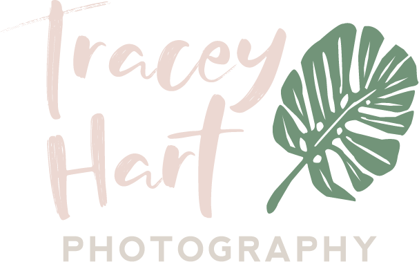 Main Logo