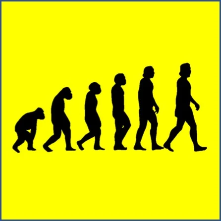 Evolution.jpg