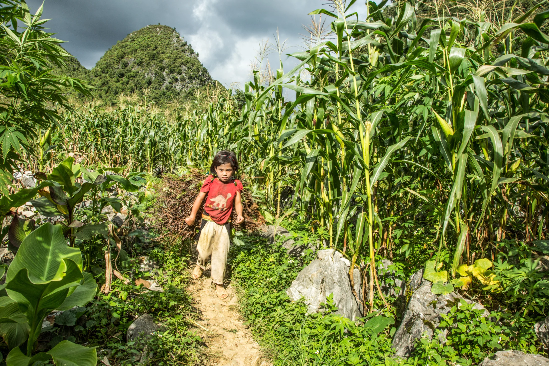 Vietnam_Olivier Blouin-6.jpg