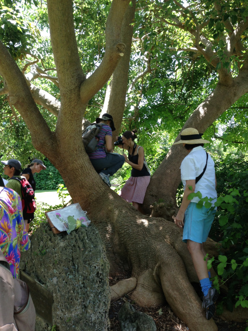 Tropical Botany students hanging out!