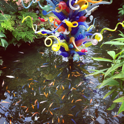 Chihuly glass with matching fish in the rare plant conservatory