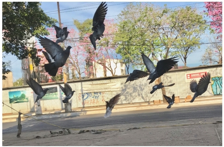 La Mesa de Trabajo de Ycuá Bolaños anuncia ganadores del Concurso Fotográfico Memoria 1 – A
