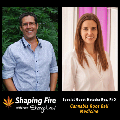 Episode-26---Cannabis-Root-Ball-Medicine-with-guest-Natasha-Ryz,-PhD.png