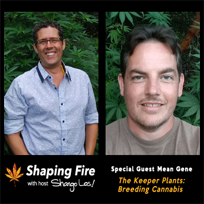 Episode-24---The-Keeper-Plants--Cannabis-Breeding-with-guest-Mean-Gene.png