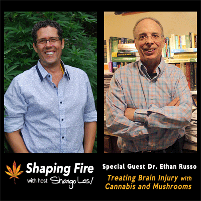 Episode 22 - Treating Brain Injury with Cannabis and Mushrooms with guest Dr. Ethan Russo