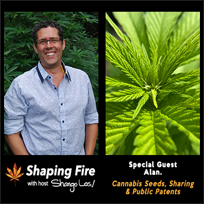 Episode 44 - Cannabis Seeds, Sharing and Public Patents with Alan from Strainly