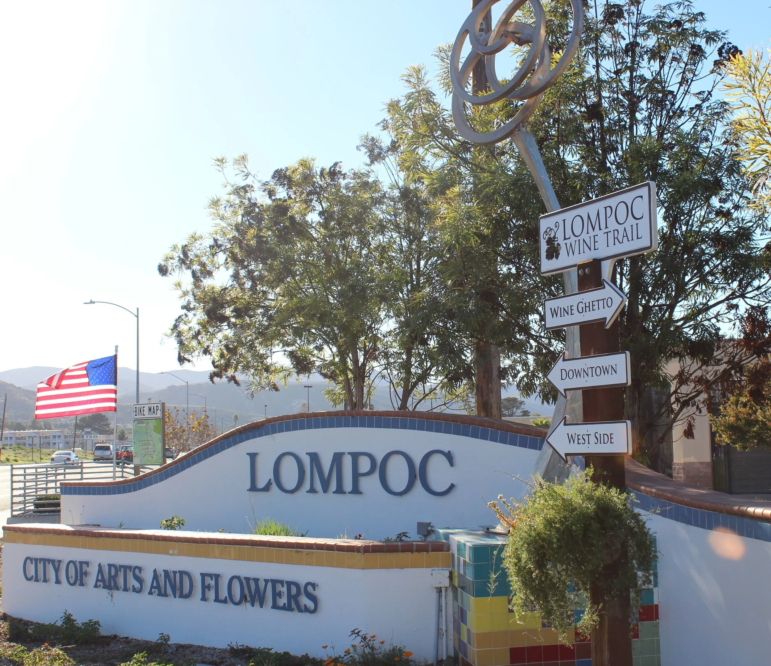 Zoning & Ordinances — Lisa Wise Consulting, Inc. Website