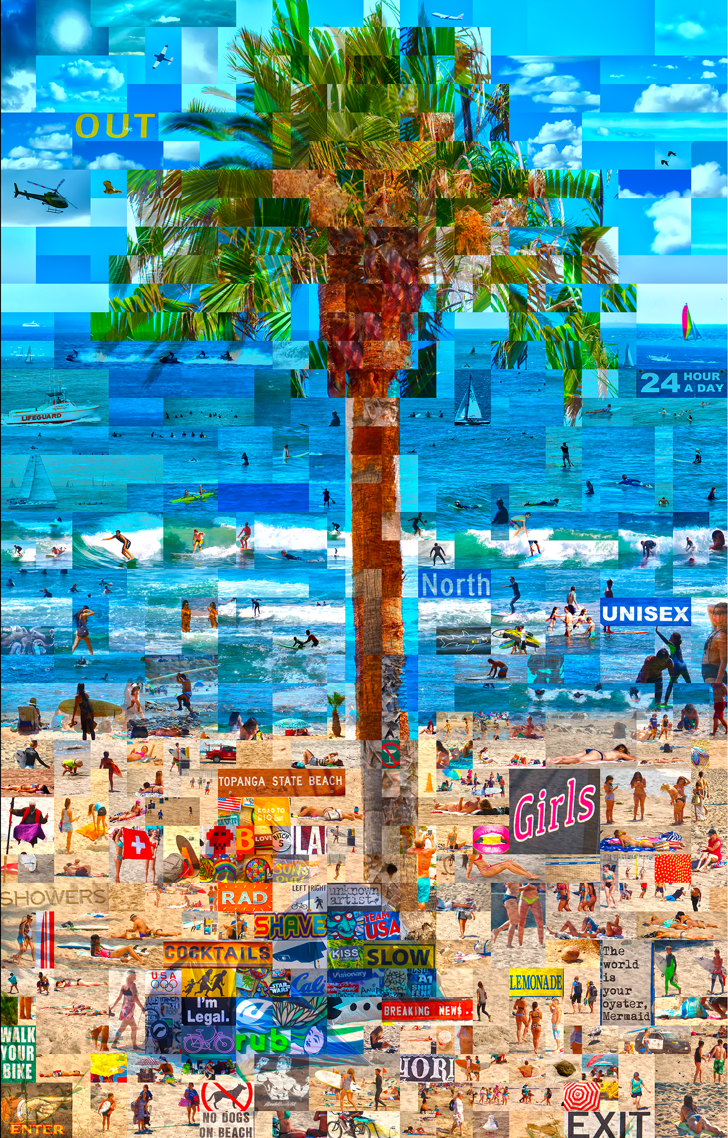 Palm-Final-11x17.png