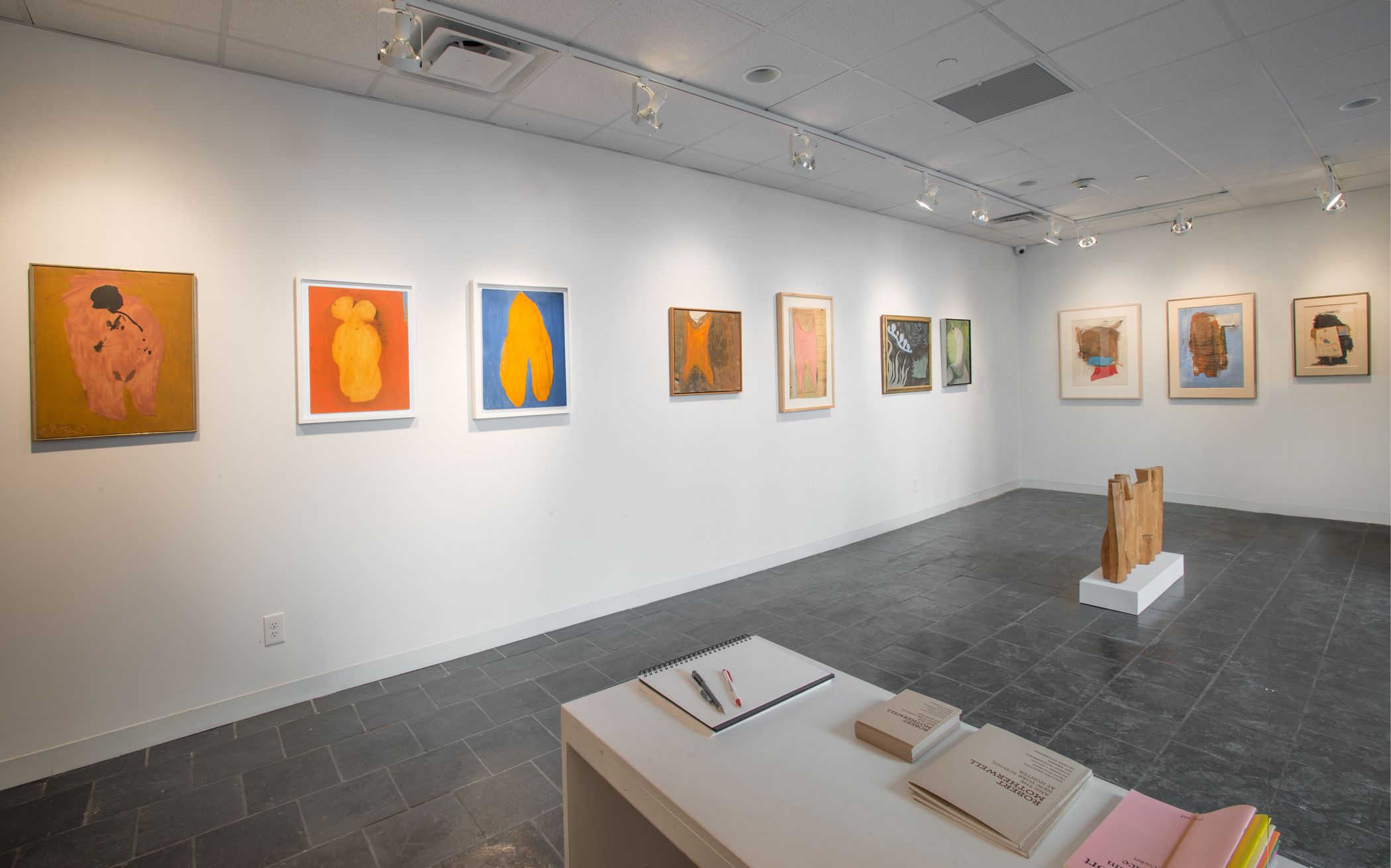 2_Installation view_RM_HCAG_2015.jpg