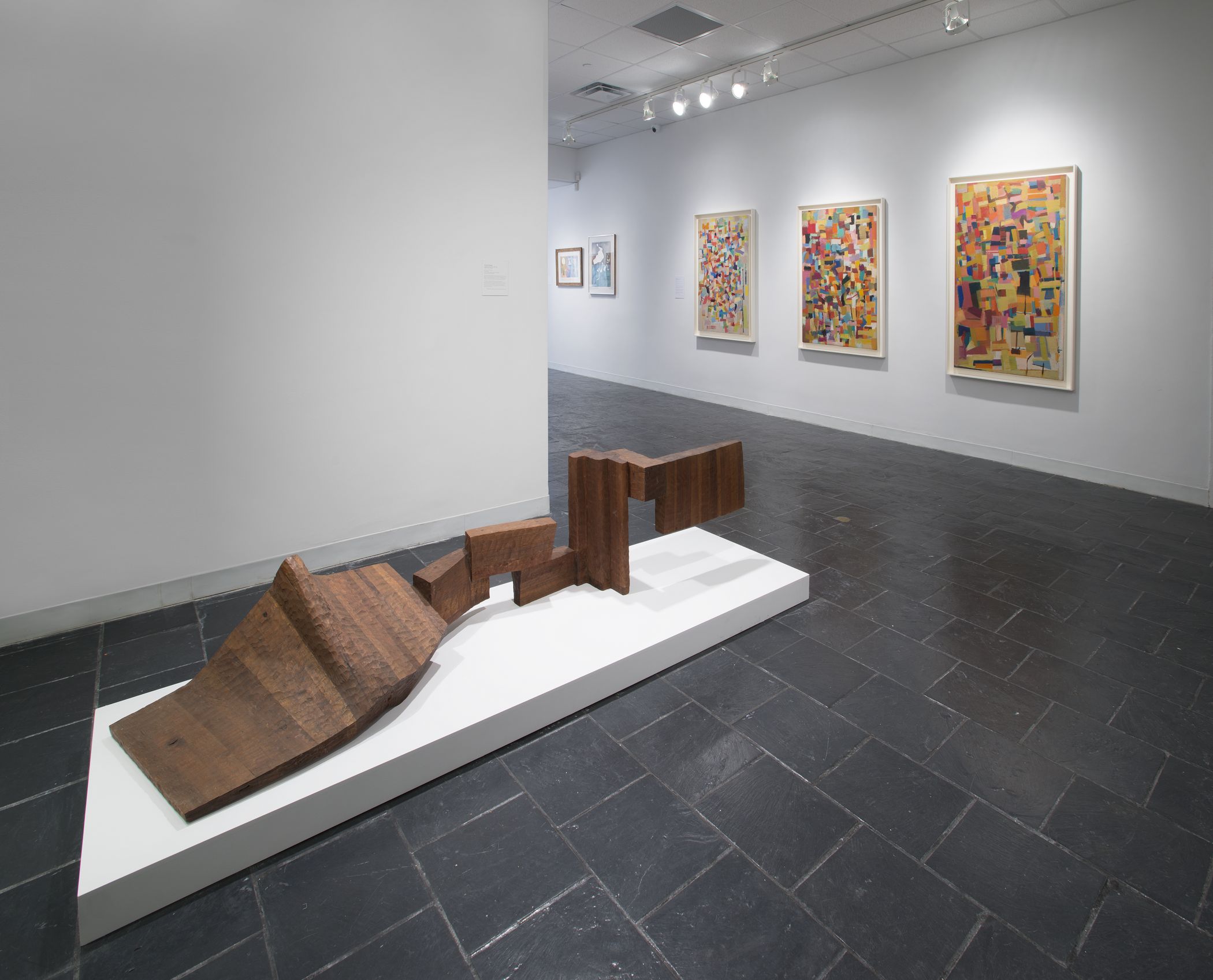 6_Installation view_RM_HCAG_2015.jpg