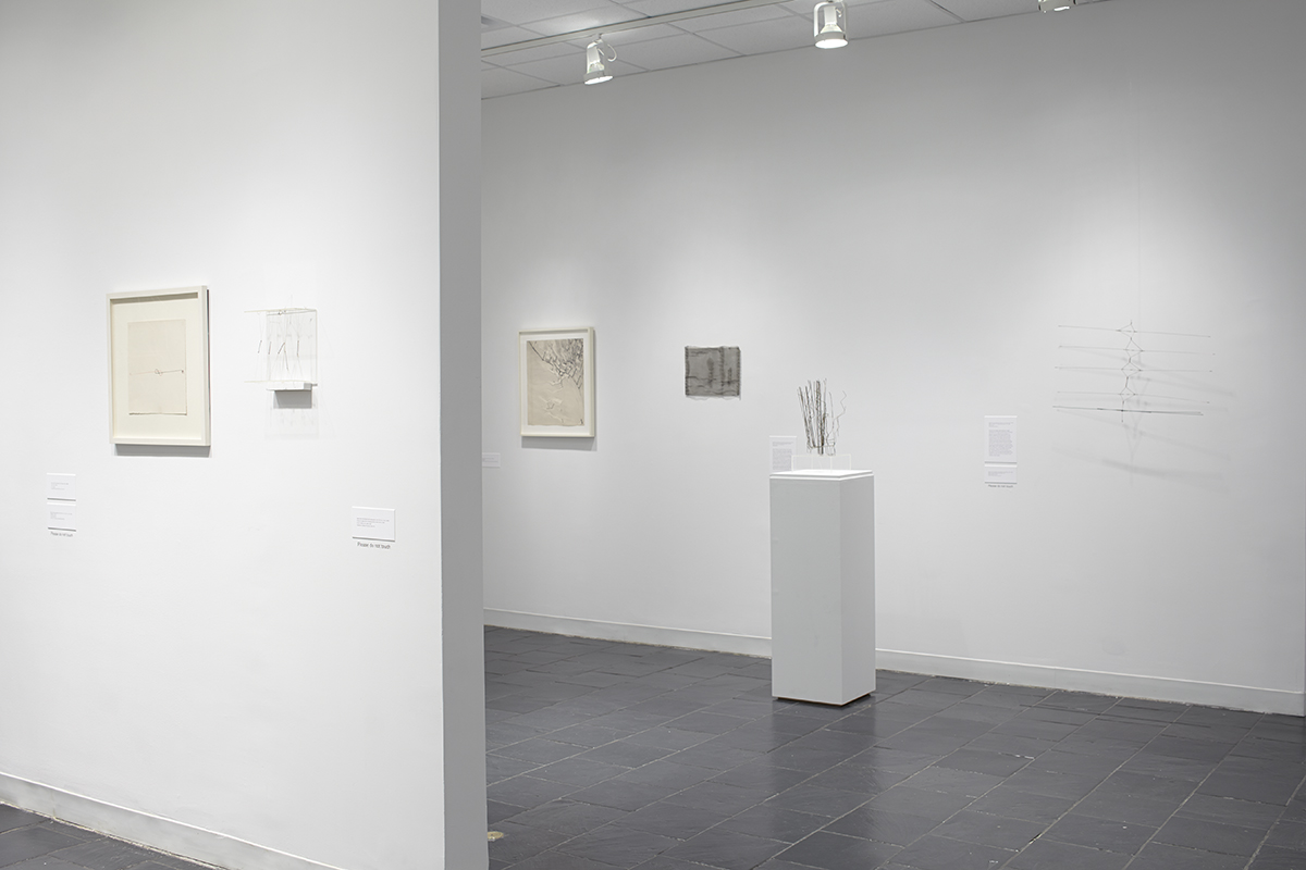 3_Installation view_GG_HCAG_2014.jpg