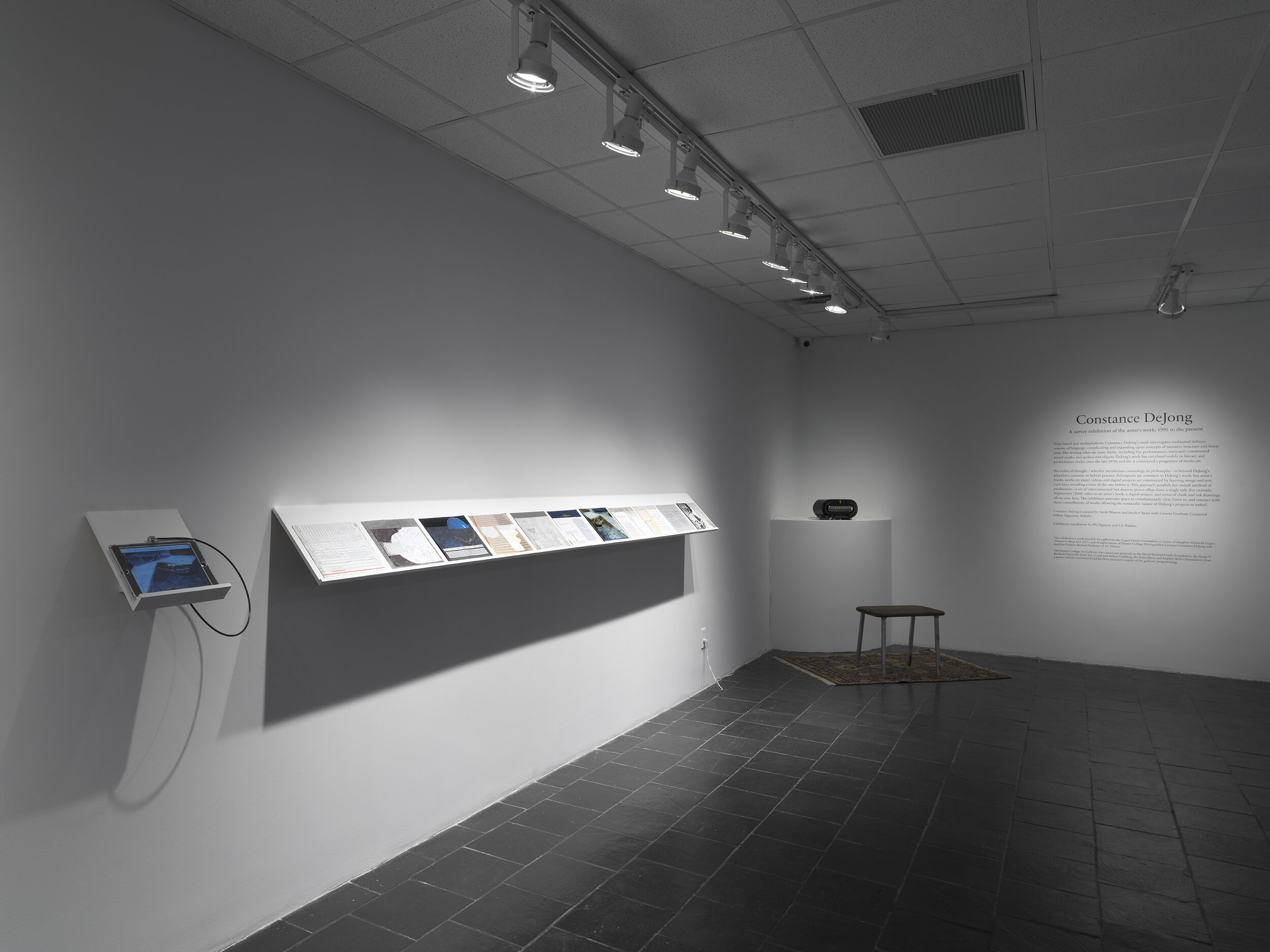  Installation View:  Constance DeJong: A survey exhibition of the artist’s work , Hunter College Art Galleries, 2021. Photo: Dario Lasagni. 