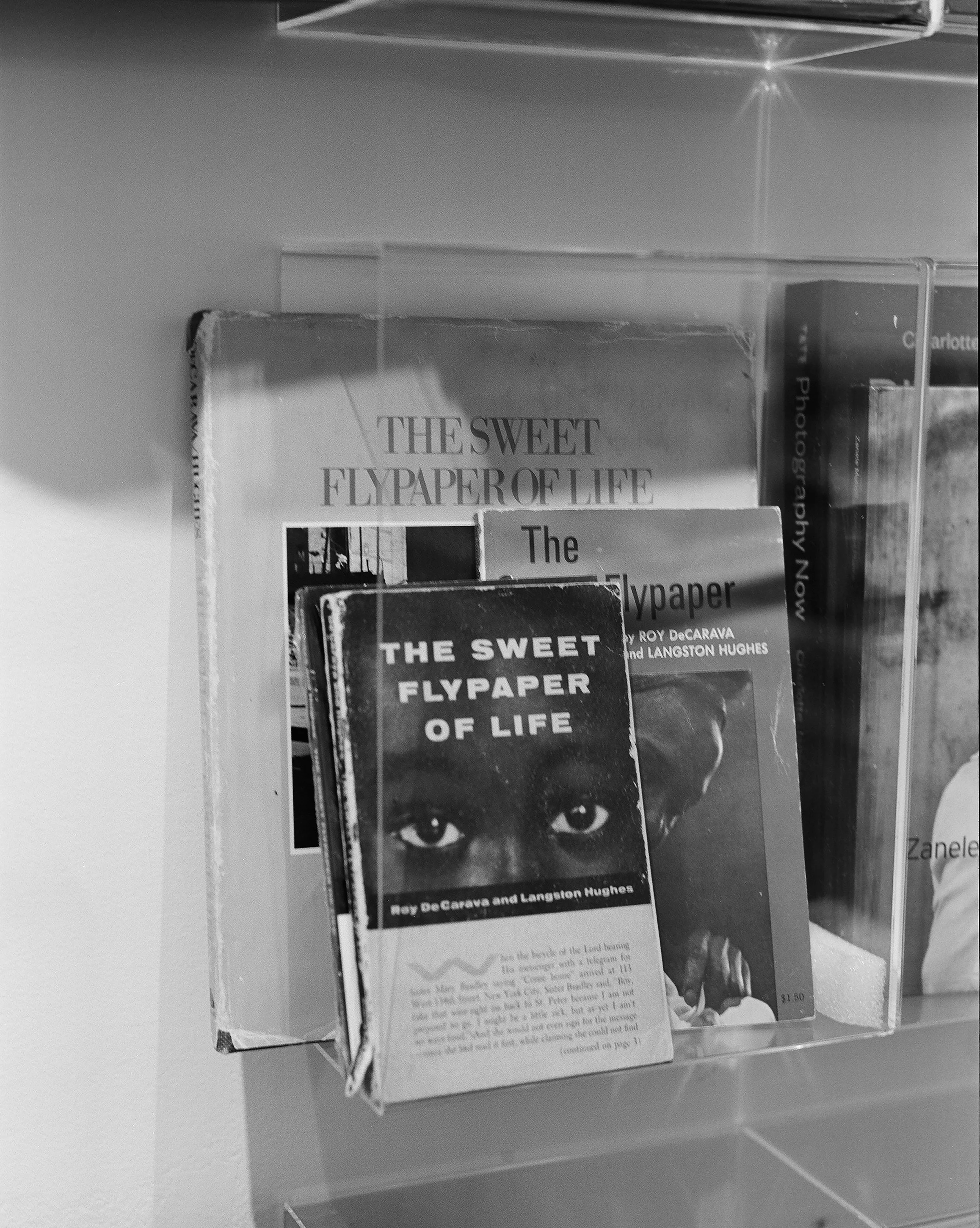 Image by Jillian Seymour.