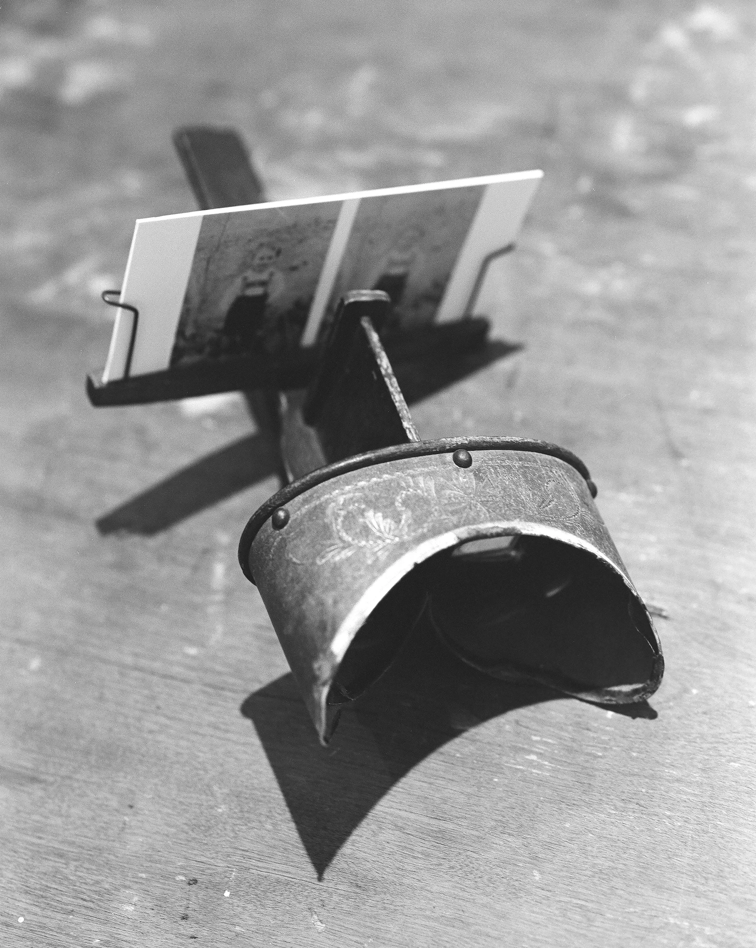 Image by Jillian Seymour.