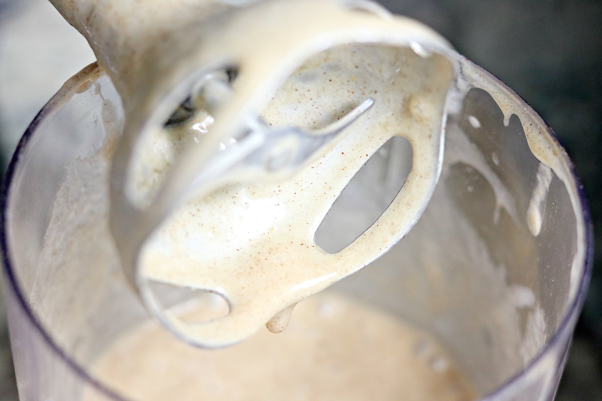 immersion blender 1.jpg