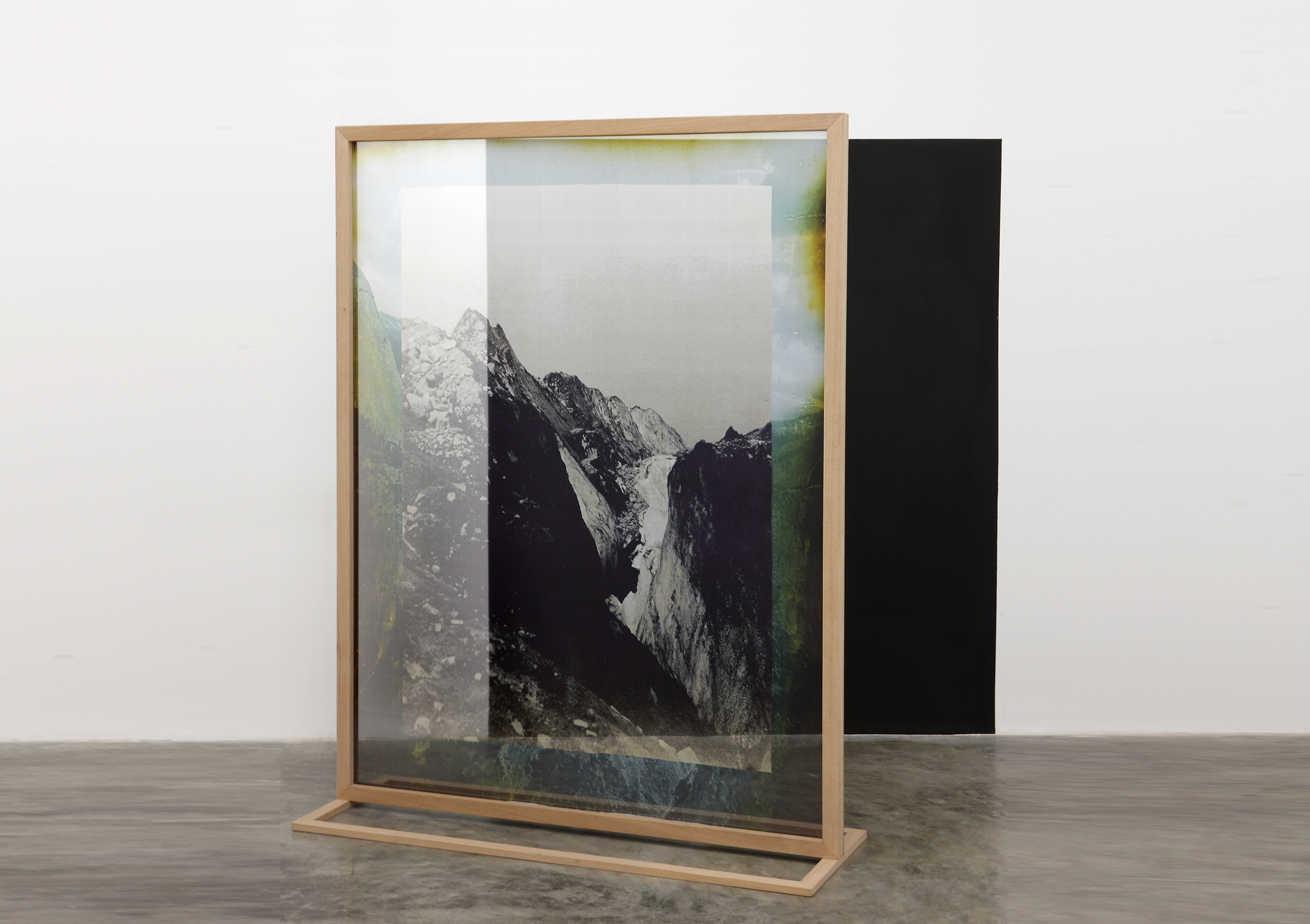  Elena Damiani,    Fading Field No. 1,  2012.   Digital print on silk chiffon, wood structure, and black matte paint on wall, 73 5/8 x 56 ¼ inches.   The Museum of Modern Art. Promised gift of Patricia Phelps de Cisneros through the Latin American an