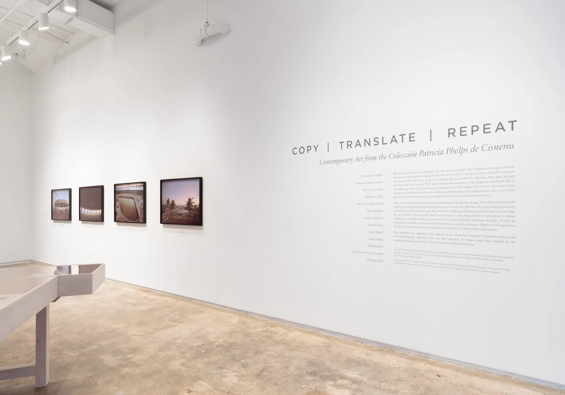 Installation View: Copy, Translate, Repeat: Contemporary Art from the Colección Patricia Phelps de Cisneros , Hunter College Art Galleries, 2018. Photo by Stan Narten. 