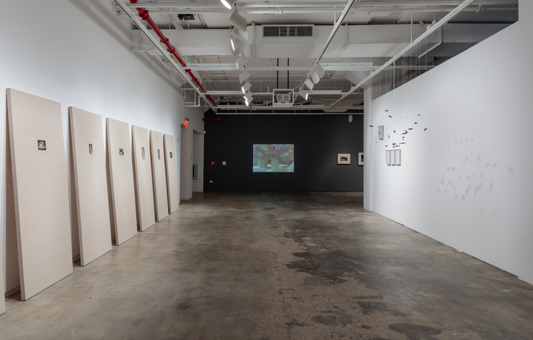  Installation View:&nbsp; Copy, Translate, Repeat: Contemporary Art from the Colección Patricia Phelps de Cisneros , Hunter College Art Galleries, 2018. Photo by Stan Narten.&nbsp; 