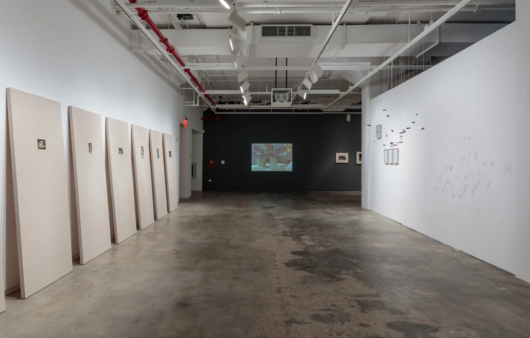 Installation View: Copy, Translate, Repeat: Contemporary Art from the Colección Patricia Phelps de Cisneros , Hunter College Art Galleries, 2018. Photo by Stan Narten. 