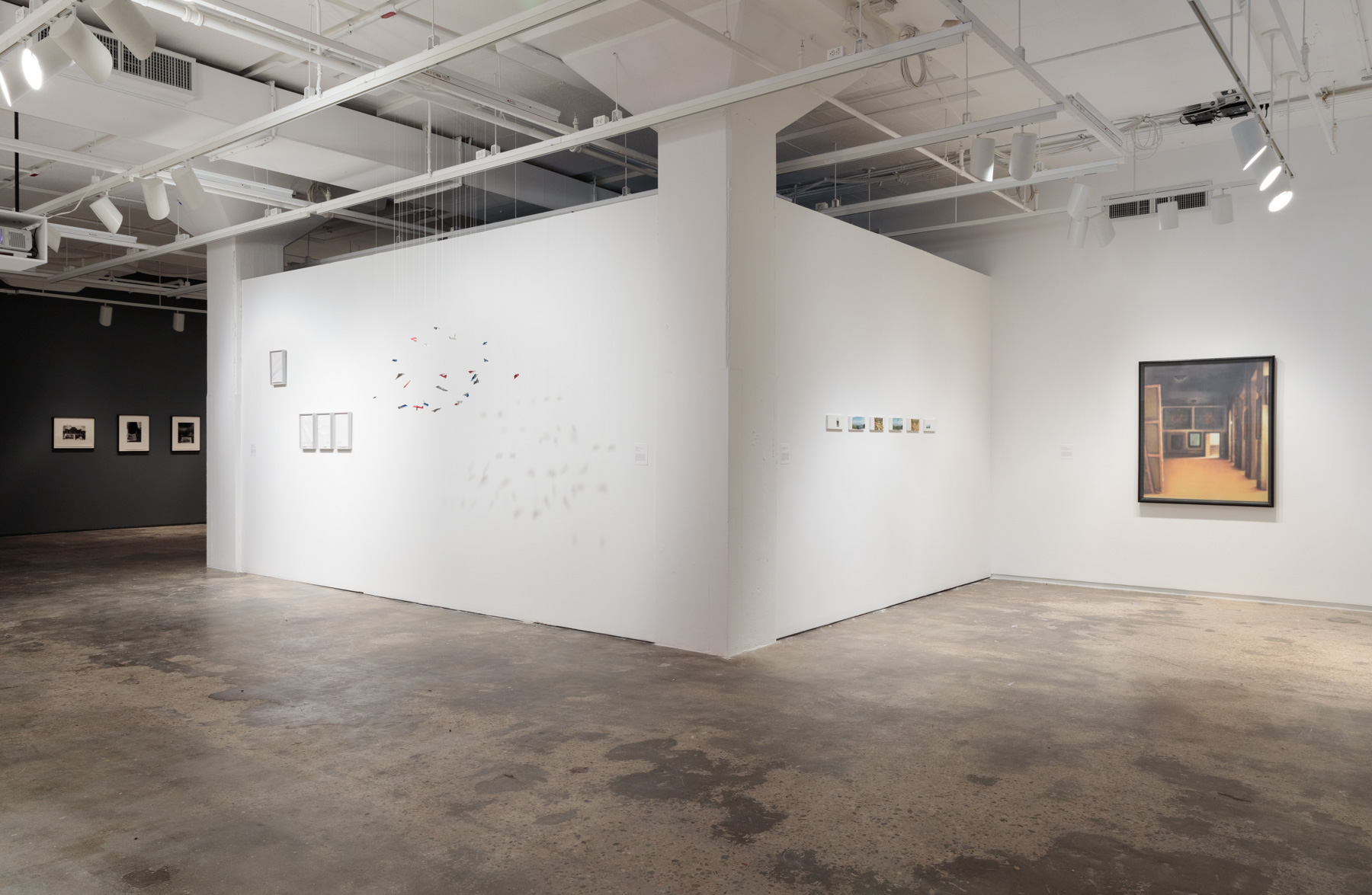  Installation View:&nbsp; Copy, Translate, Repeat: Contemporary Art from the Colección Patricia Phelps de Cisneros , Hunter College Art Galleries, 2018. Photo by Stan Narten.&nbsp; 