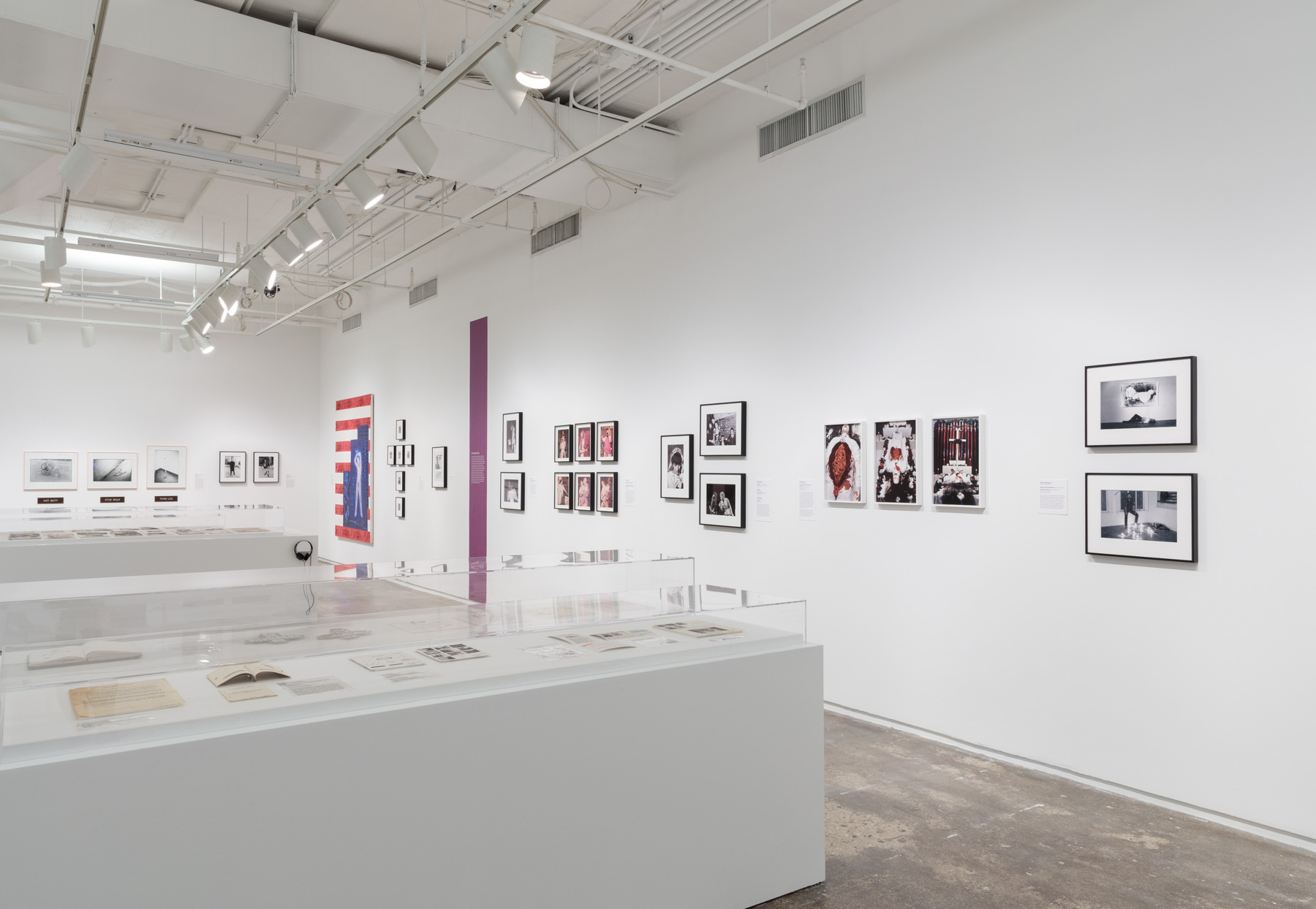  Installation view of  Axis Mundo: Queer Networks in Chicano L.A.  at 205 Hudson Gallery. Photo by Stan Narten. Courtesy of Hunter College Art Galleries. 