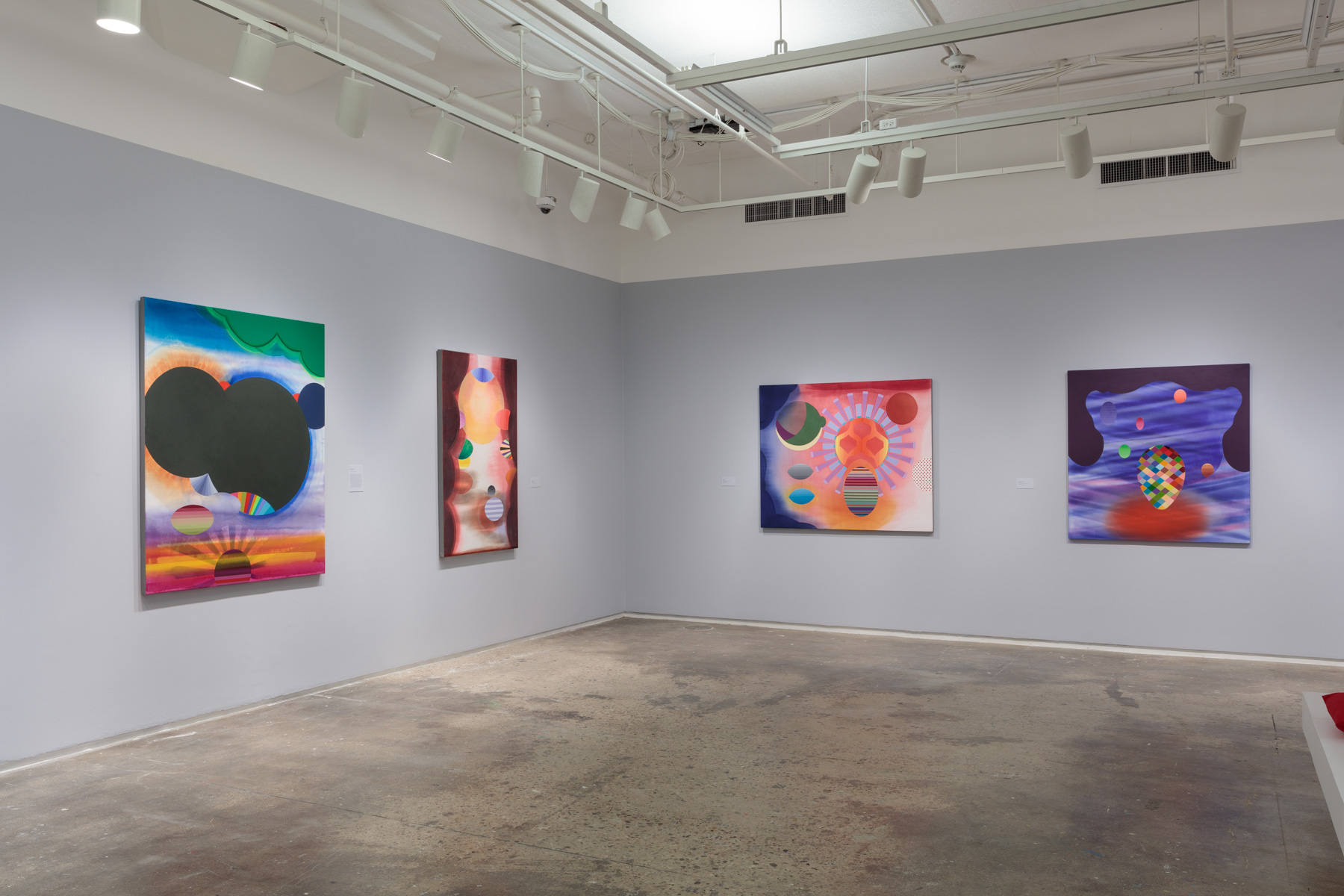  Installation view:  Stephen Mueller: Orchidaceous , Hunter College Art Galleries, 2018. Photo by Stan Narten. 