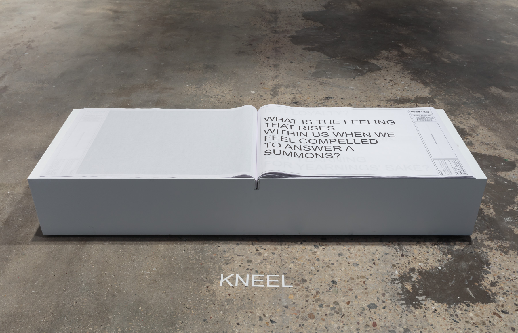  shawné michaelain holloway ,&nbsp;  Scheduled(VariableRatio):secondary-conditioned- immediateReinforcement(s)-handlerSearch1_DrillAndPractice.exe_Companion4.1 , 2019. Interactive book, plinth, and vinyl text. Courtesy of the artist. Photo by Stan Na